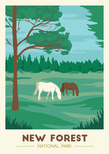 Load image into Gallery viewer, New Forest National Park print
